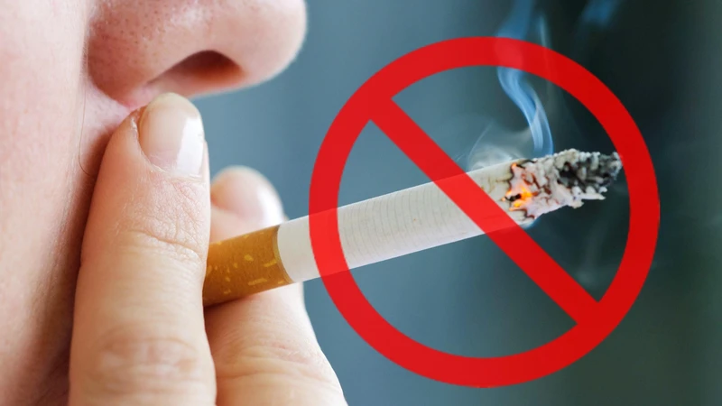 Nhịp tim chậm là gì? Triệu chứng, nguyên nhân, chẩn đoán và điều trị 5