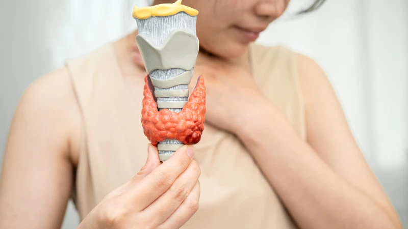 Bị cường giáp có hiến máu được không là thắc mắc của nhiều người