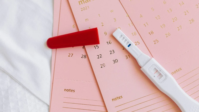 Những dấu hiệu rụng trứng khi đang cho con bú 4