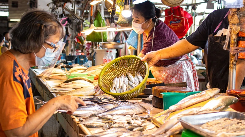 Ưu tiên lựa chọn cá tươi, đảm bảo an toàn thực phẩm và giàu dưỡng chất