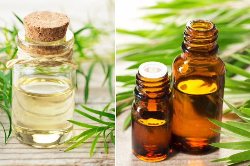 Những mẹo dân gian chữa nghẹt mũi cho trẻ sơ sinh giúp cải thiện triệu chứng hiệu quả 1