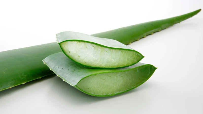 Những thực phẩm có tính mát: Công dụng và lưu ý khi sử dụng 4
