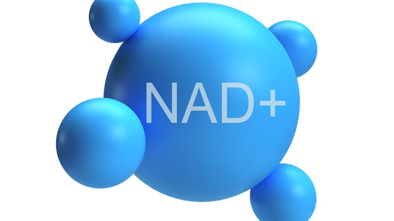 NMN góp phần duy trì NAD⁺ trong cơ thể, từ đó hỗ trợ kích hoạt các protein giúp sửa chữa DNA bị tổn thương