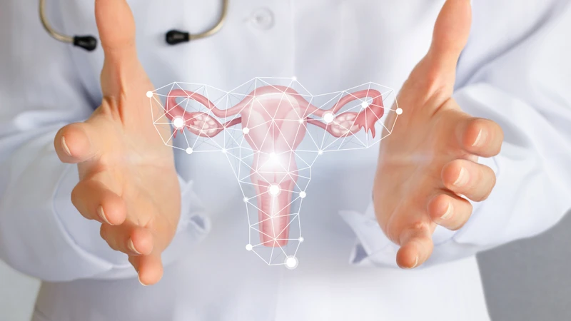 Nội mạc tử cung dày: Nguyên nhân, biểu hiện và cách xử lý hiệu quả 3