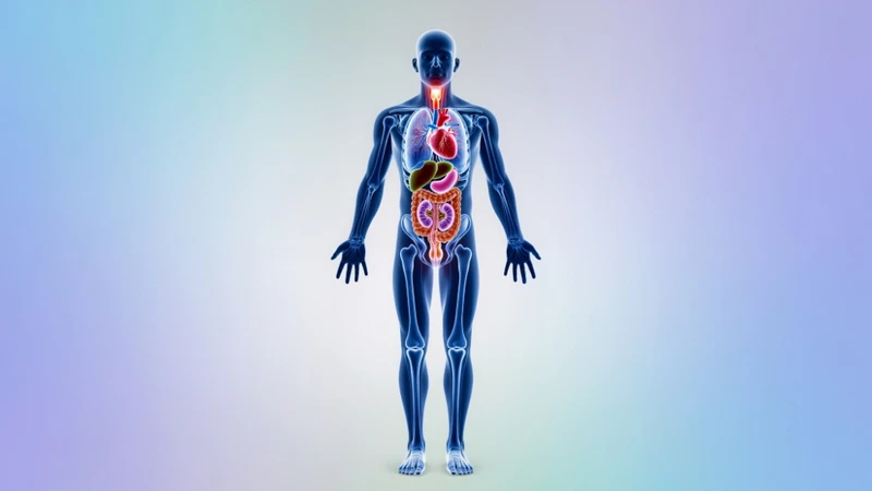 Cân bằng nội môi được duy trì nhờ sự điều hòa phối hợp giữa các hệ cơ quan trong cơ thể