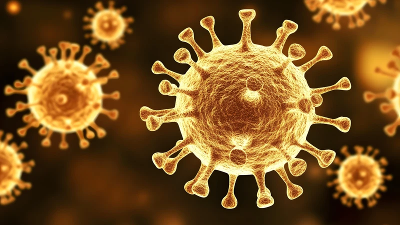 Nồng độ virus&nbsp;viêm gan B trong huyết tương chính là lượng virus HBV hiện diện trong máu của người bệnh tại thời điểm làm xét nghiệm