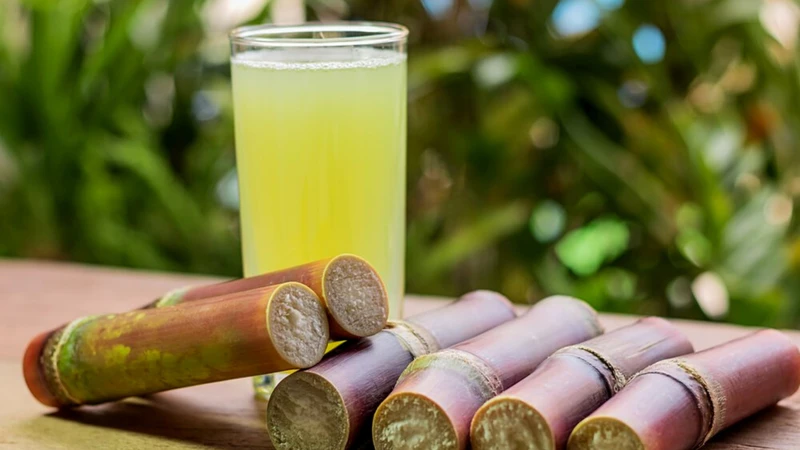 Nước mía để qua đêm uống được không? Không nên vì nước mía có thể bị nhiễm khuẩn chéo từ các thực phẩm khác và giảm dần chất lượng