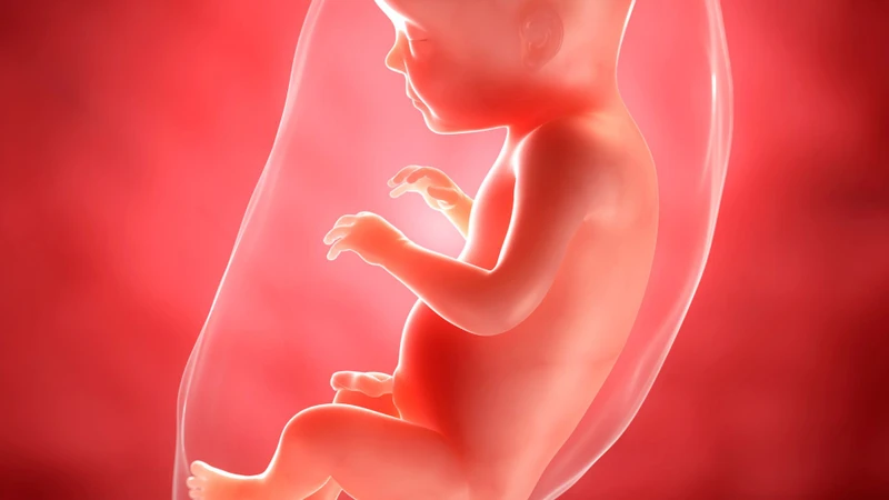 Nước ối tăng âm xảy ra khi lượng nước ối tăng cao hơn so với mức bình thường
