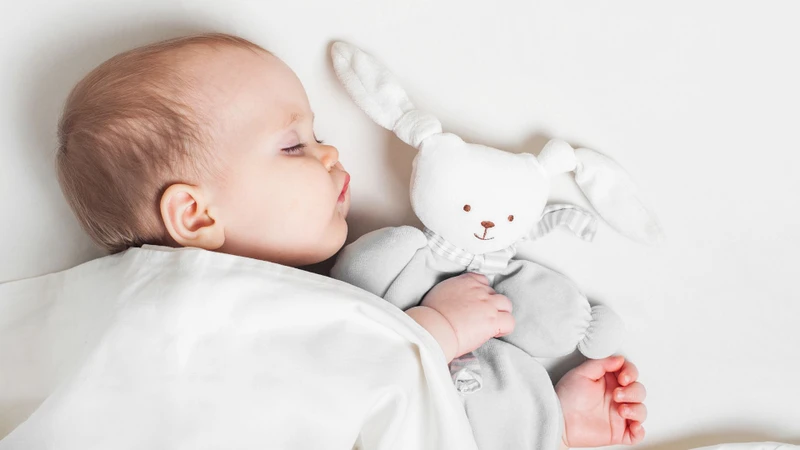 Nuôi con theo phương pháp easy là gì​?​ Những lưu ý cần biết 1