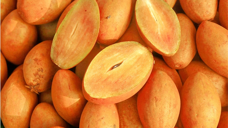 Chủ động loại bỏ hạt hồng xiêm trước khi ăn là cách phòng ngừa tốt nhất