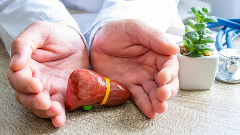 Nút mạch gan là gì? Phương pháp điều trị hiệu quả cho bệnh lý gan bạn nên biết5