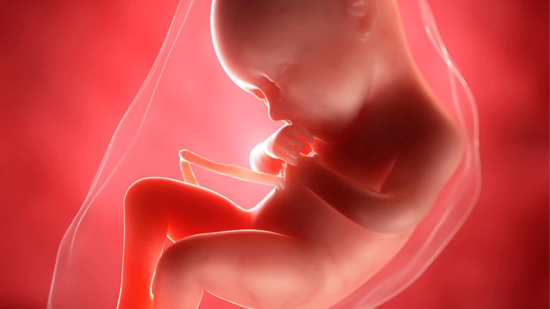 Ối vỡ sớm là tình trạng màng ối bao bọc quanh thai nhi bị rách trước khi chuyển dạ
