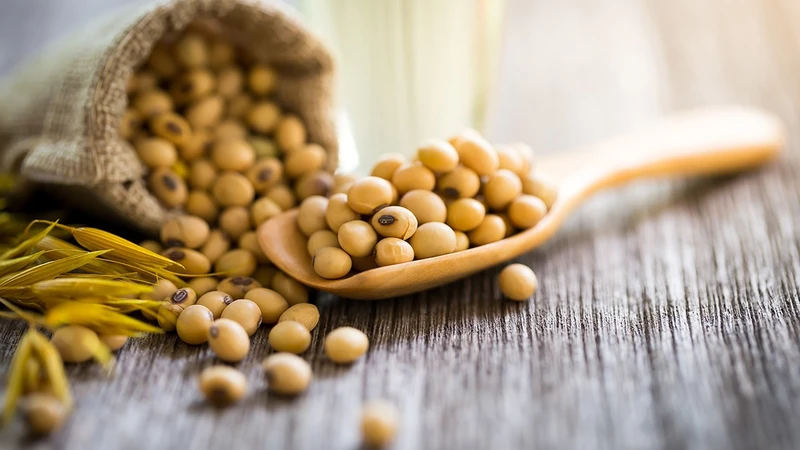 Đậu nành có chứa omega-3 thực. vật góp phần bổ sung chất béo lành mạnh cho cơ thể