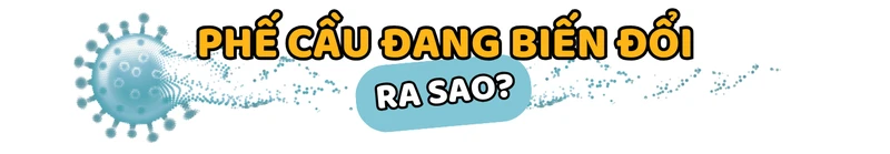 phe-cau-dang-bien-doi-ra-sao-2.png