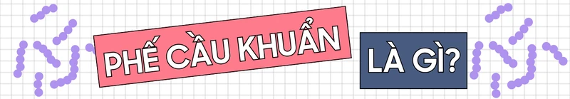 Phế cầu khuẩn âm thầm tấn công cơ thể ra sao? 3