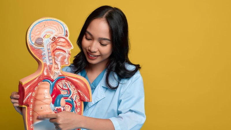 Phế dung kế là gì? Ứng dụng của phế dung kế trong y học 2