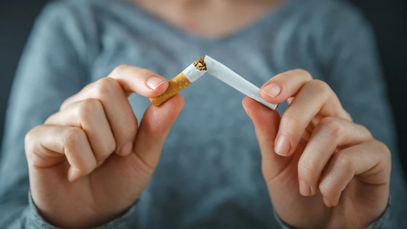 Các chất độc trong khói thuốc làm tổn thương lớp nội mạc mạch máu, thúc đẩy xơ vữa động mạch và làm suy yếu thành mạch theo thời gian