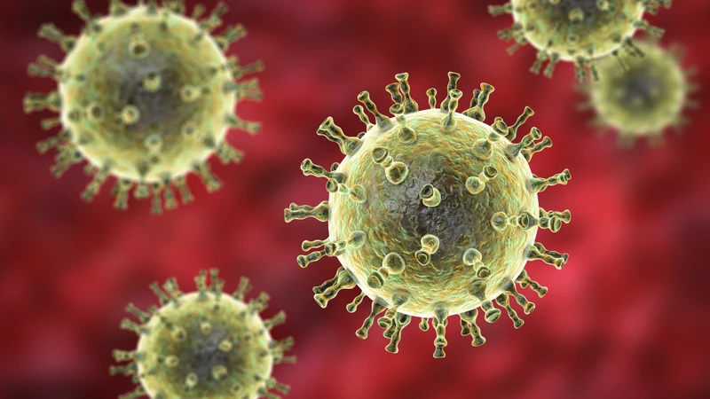 Bệnh phỏng dạ do virus Varicella Zoster (VZV) gây ra