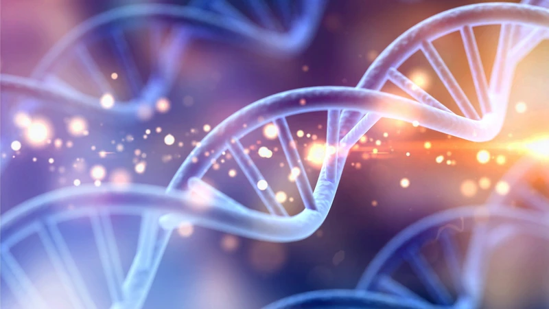Plasmid là công cụ quan trọng trong công nghệ DNA tái tổ hợp