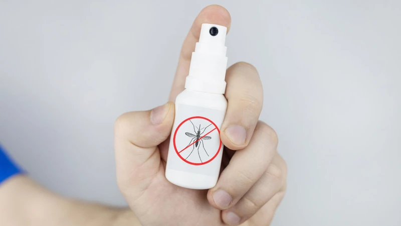 Người sinh sống gần rừng cần chú trọng các biện pháp phòng tránh muỗi