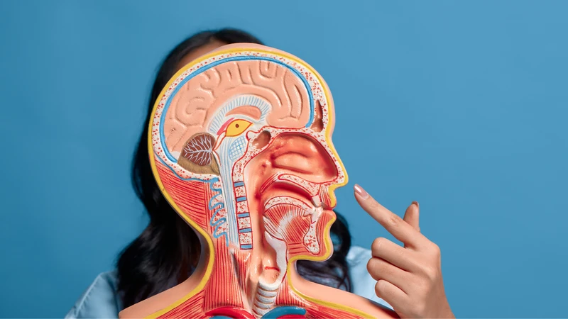 Polyp mũi có nguy hiểm không? Nguyên nhân, biến chứng tiềm ẩn và cách xử lý 1
