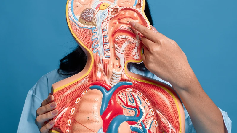 Polyp mũi có tự hết không? Làm gì để polyp mũi tự hết? 2