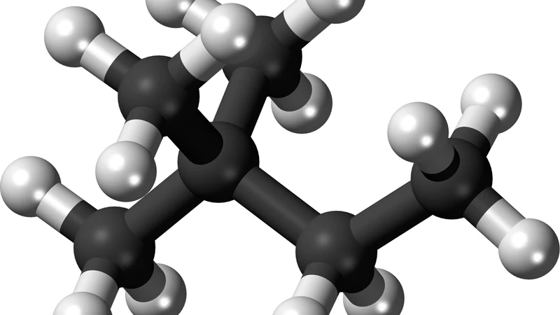 Các hợp chất polyphenol giúp thực vật chống lại các điều kiện môi trường khắc nghiệt và sâu bệnh