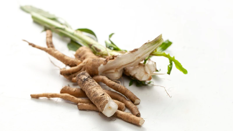 Rễ rau diếp xoăn (chicory root) cũng là một trong những nguồn prebiotic tự nhiên
