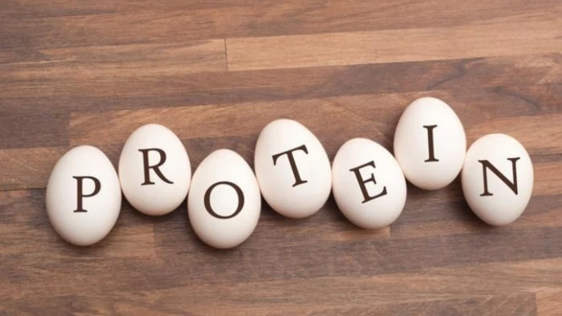 Protein là gì? Chức năng, cách phân loại và cách bổ sung đúng 1