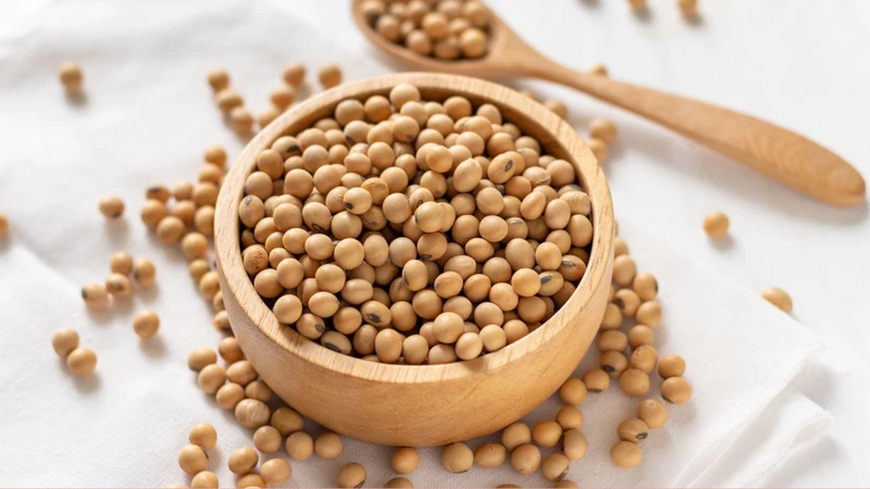 Đậu nành cung cấp protein và isoflavone