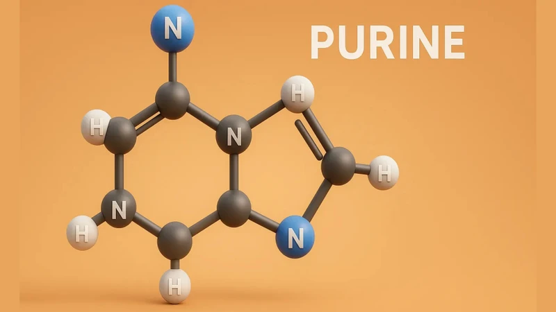 Purin là một hợp chất hữu cơ thuộc nhóm base nitơ có mặt tự nhiên trong cơ thể người và trong nhiều loại thực phẩm