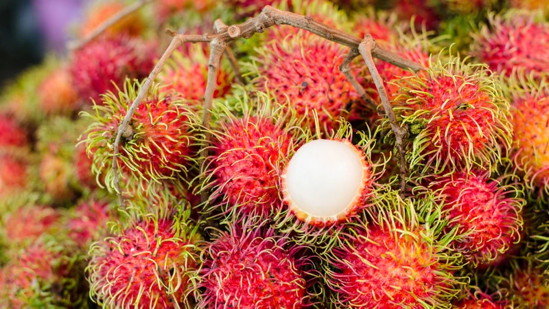 Kiểm soát khẩu phần là chìa khóa để duy trì cân nặng