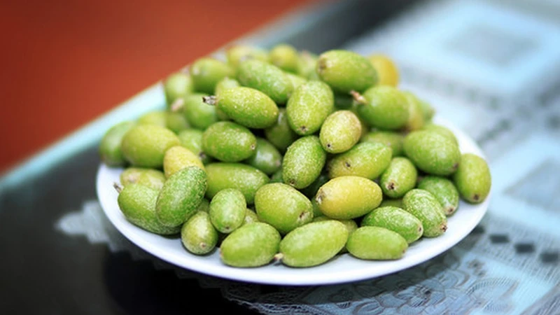 Ngoài ăn tươi, nhót còn được chế biến thành nhiều món ngon như nhót lắc, canh chua, kho cá