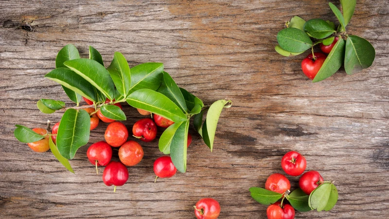 Quả sơ ri là nguồn cung cấp vitamin C dồi dào từ thiên nhiên