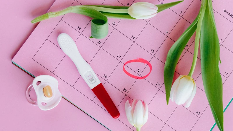 Chị em nên thử thai từ 10 ngày trở đi kể từ ngày rụng trứng