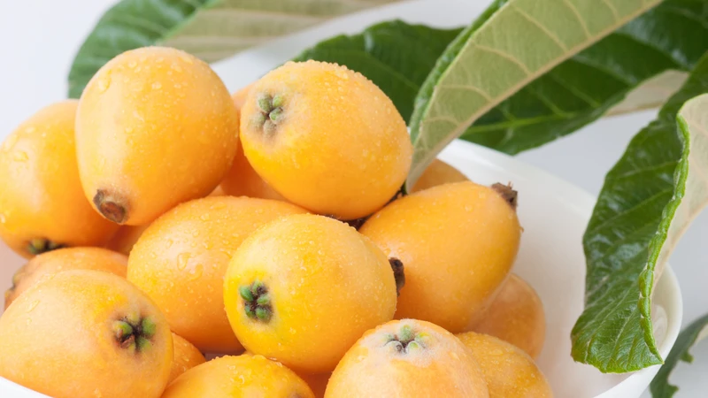 Carotenoid trong quả tỳ bà góp phần tạo màu vàng cam, đồng thời thể hiện hoạt tính chống oxy hóa