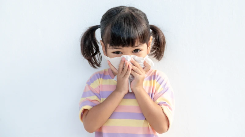 Virus quai bị chủ yếu lây qua đường hô hấp thông qua các giọt bắn tiết ra khi người bệnh ho, hắt hơi hoặc trò chuyện