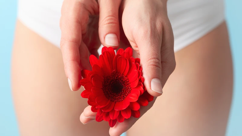 Màng trinh là một nếp gấp niêm mạc mỏng nằm ngay tại cửa âm đạo