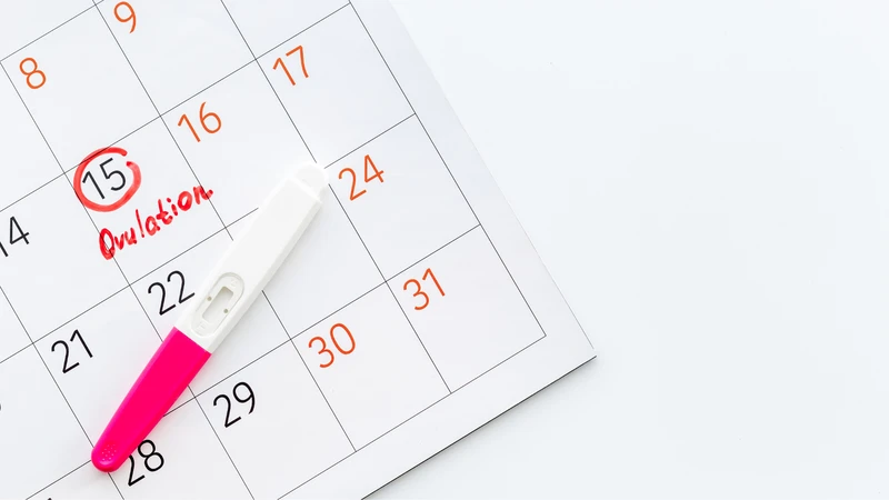 Quan hệ xong vẫn đến tháng có thai không? 1