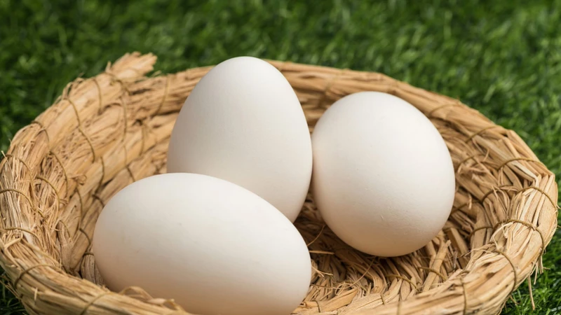 Hàm lượng dinh dưỡng cao trong trứng ngỗng có thể dẫn đến dư thừa năng lượng