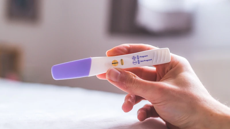 Khi phân tích xong, màn hình sẽ hiển thị “Pregnant” (Có thai) hoặc “Not Pregnant” (Không có thai)