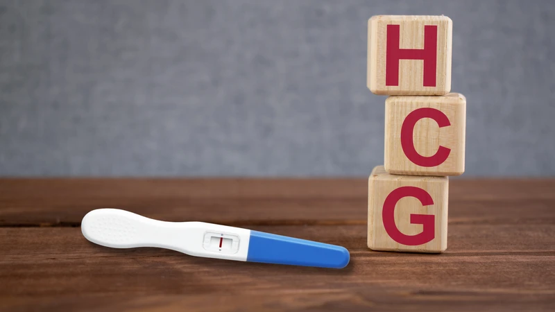 Hormone hCG đóng vai trò trung tâm trong việc xác nhận thai kỳ