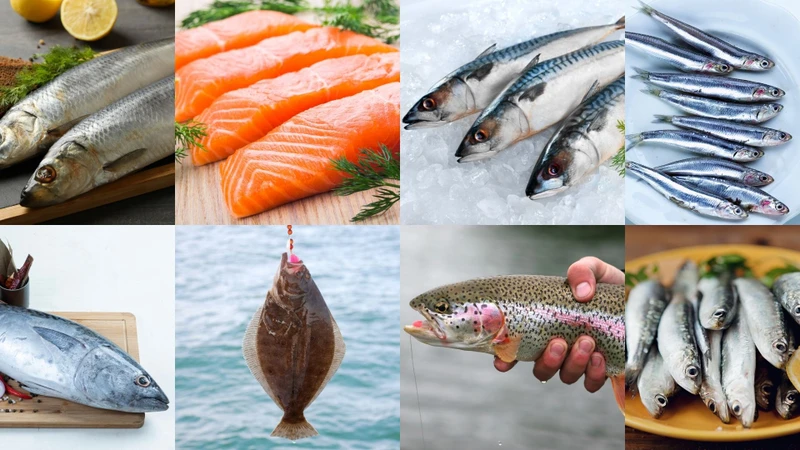 Cá béo là một trong những câu trả lời cho câu hỏi rách sụn chêm nên ăn gì
