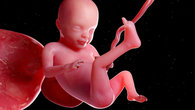 Việc tìm hiểu rõ rau cài răng lược là gì sẽ giúp mẹ bầu chủ động phòng ngừa những biến chứng nghiêm trọng
