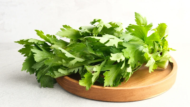 Rau cần nước giàu chất xơ, giúp tiêu hóa tốt, hỗ trợ ổn định đường huyết và tốt cho tim mạch