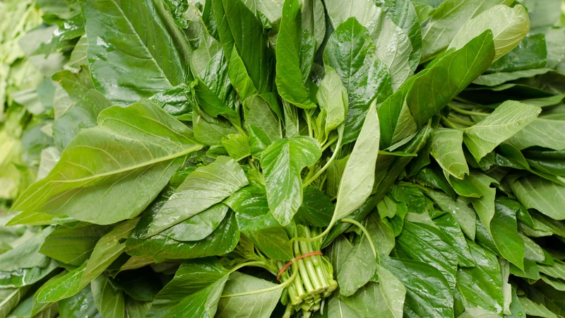 Rau dền xanh cung cấp chất xơ và protein thực vật, tốt cho hệ tiêu hóa và cơ thể