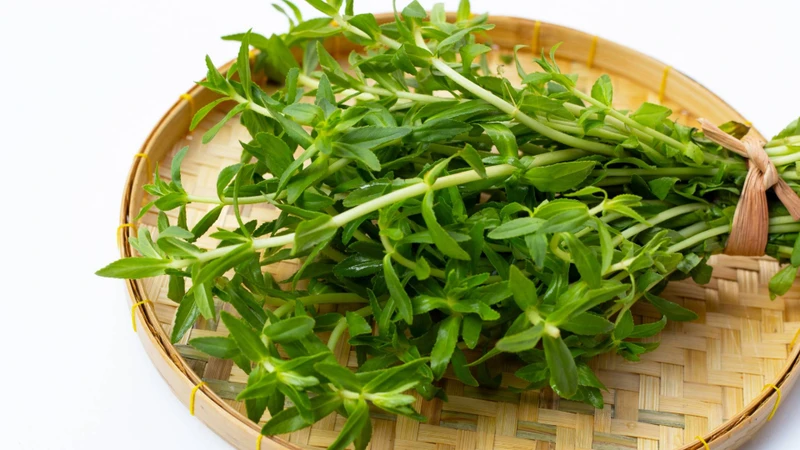 Rau ngổ còn giúp tăng mùi thơm và tạo điểm nhấn cho món ăn