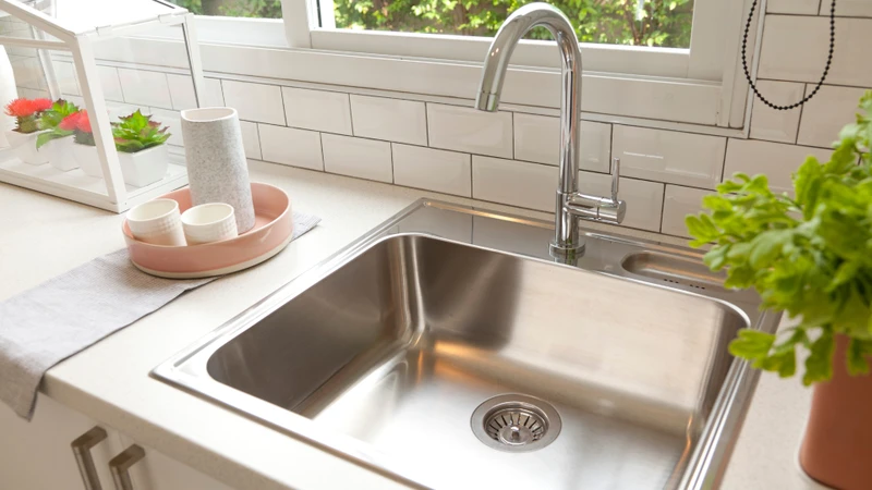 Nên rửa kỹ và ngâm nước muối rau tàu bay trước khi sử dụng để loại bỏ bụi bẩn, ký sinh trùng, vi khuẩn