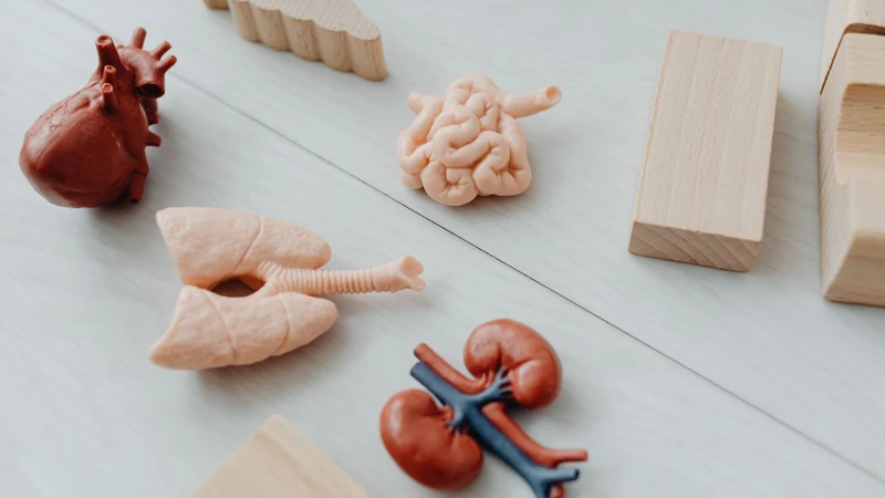 Mất ngủ có thể ảnh hưởng tới chức năng của nhiều cơ quan