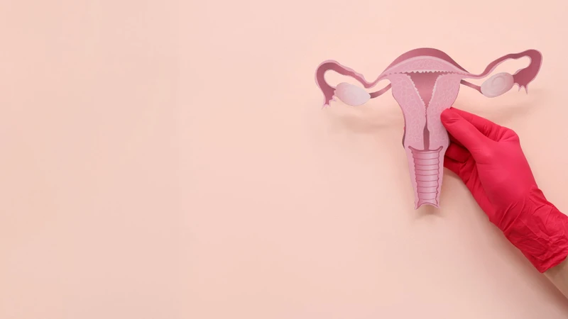 Rối loạn kinh nguyệt tiền mãn kinh là sự thay đổi bất thường của chu kỳ kinh nguyệt